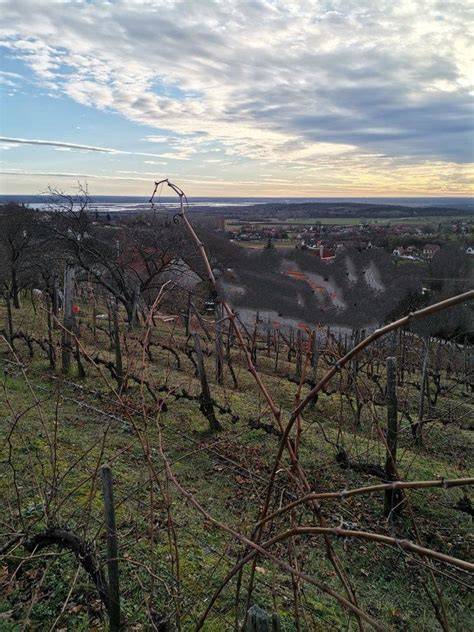 Panoráma a belvárosról és közeli lakásnegyedek