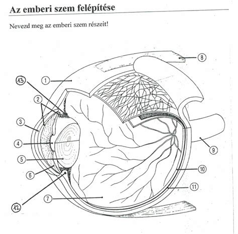 Az átszellőztetett függönyhomlokzat felépítése