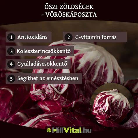Infografika: Zöldségek feldolgozásának folyamatábra