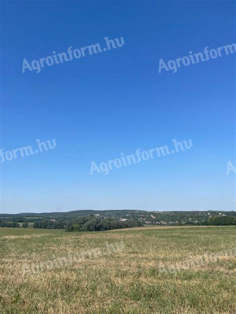 Termőföld eladás hirdetés
