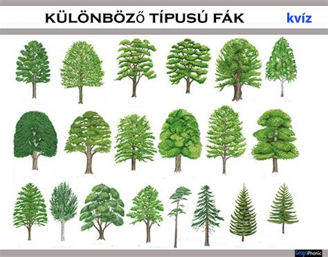 Különböző típusú európai lakóparkok