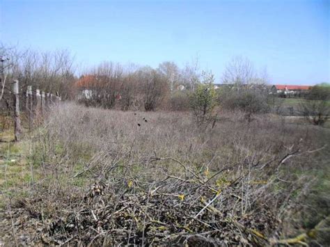 illusztráció a művelés alól kivont területről