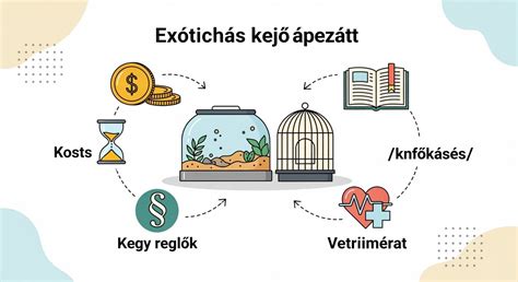 Infografika a tehermentesítés fő lépéseiről: terhek azonosítása - egyeztetés - engedélyek - földhivatali eljárás - törlés - bejegyzés