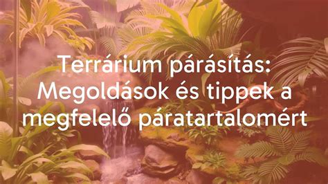Madárvédelmi megoldások és projektek térképe