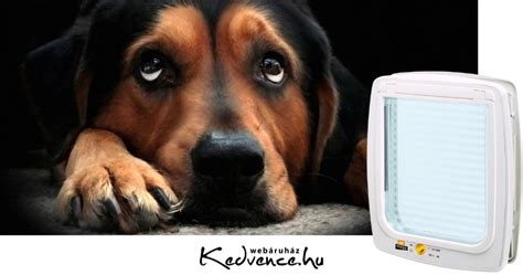 Infografika a kutyaajtó nyitási irányairól