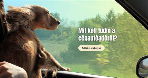 Adódó költségek és adózási keretek vizuális összefoglalója