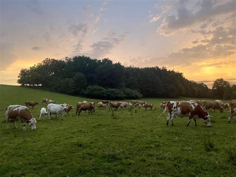 Őrség tájképe házakkal
