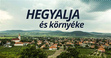 Infografika: Hegyalja utca és környéke vizuális áttekintése