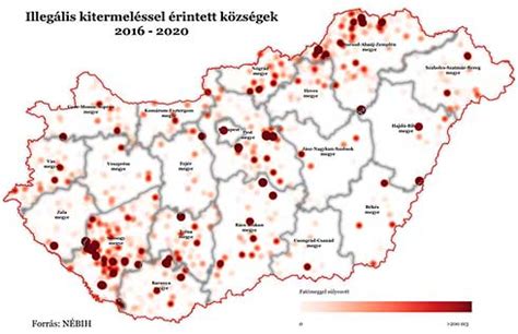 Infografika a faanyag kereskedelmi lánc nyomon követéséről
