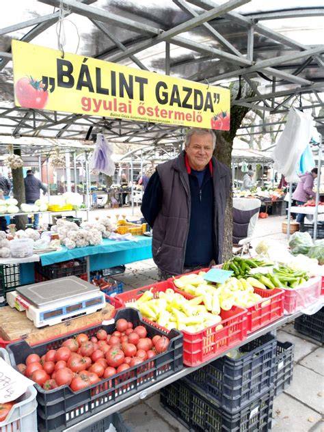 Őstermelő kertje belterületen