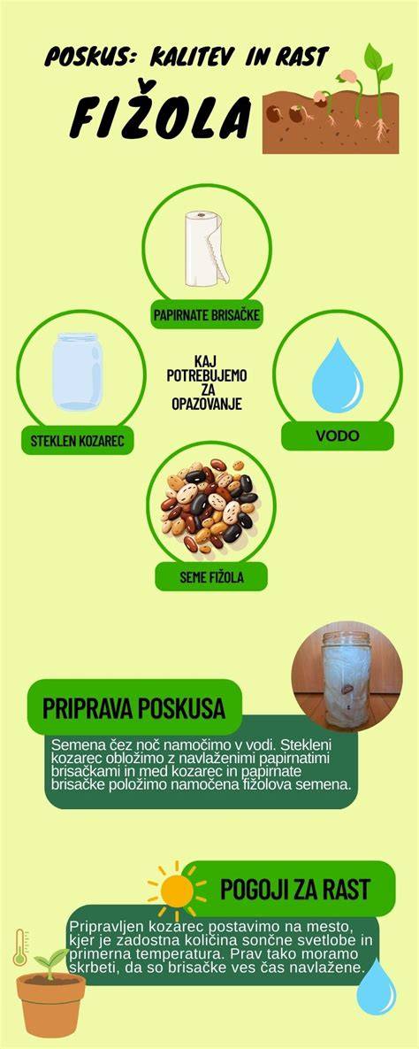 Infografika: szikkasztórendszerek felépítése