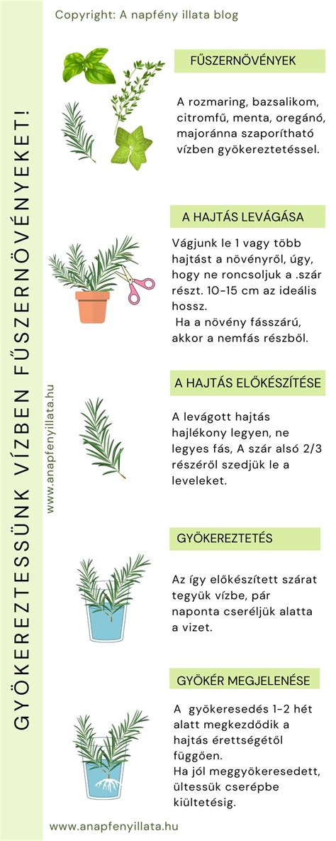 Indító hibaelhárítási lépések ábra