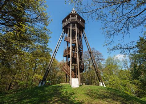 Annahegy kilátó és parkerdő: pihenő- és turistautak hálózata