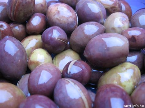 Különböző olajbogyó fajták