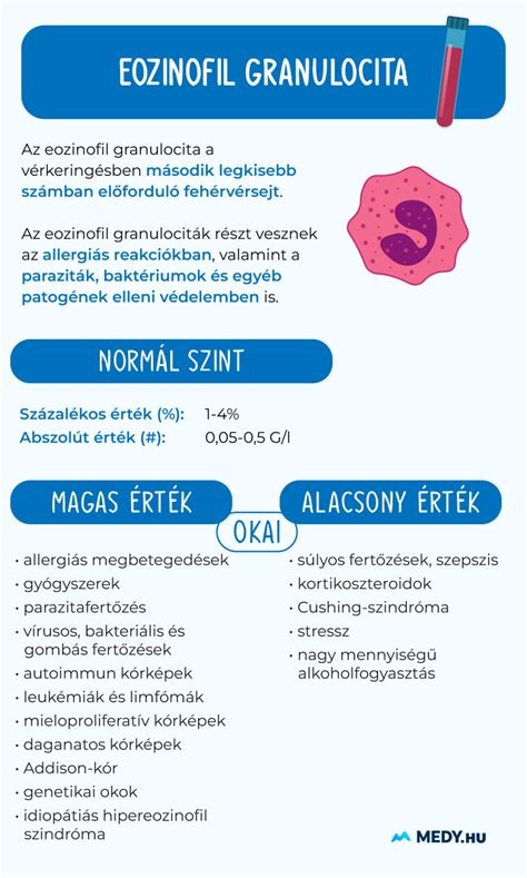 Infografika a telekadó fogalmáról és a kapcsolódó jogszabályokról