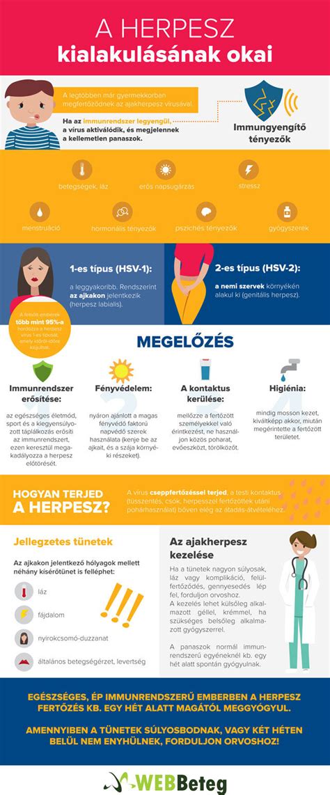 Infografika: Honvéd lakótelek elhelyezkedése és infrastrúktúrája