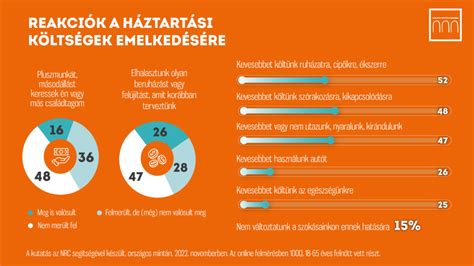 Infografika: Hajdúnánás gazdasági szolgáltatási rétegeinek kölcsönhatási diagramja.