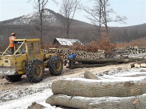 Fakitermelés folyamata