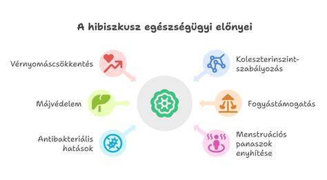 Infografika: Kerepes egészségügyi körzetei és járási ellátási útvonalak