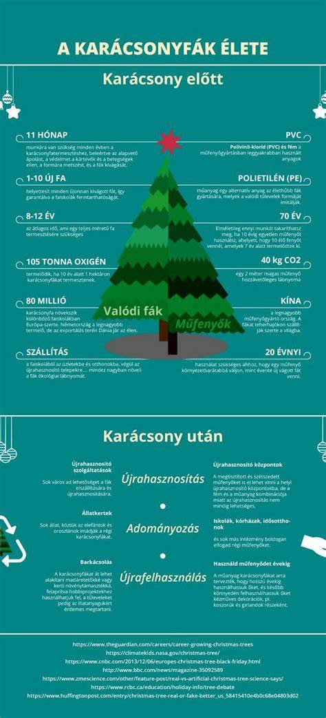 Infografika a két lakás elrendezéséről és a közműbekötésekről