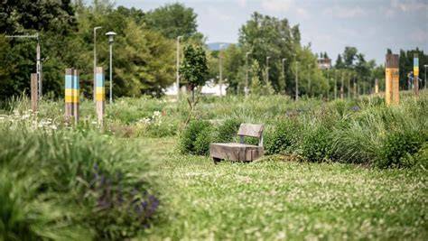 Konténeriroda és zöld park látképe