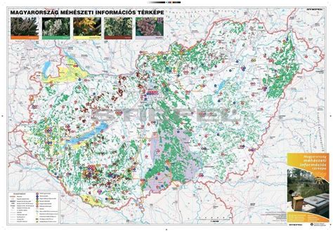 Térkép ház árverésekről Magyarországon