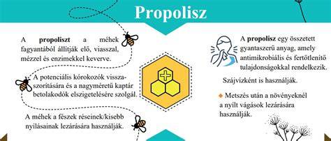 Infografika: Termékek skálája és alapanyagok