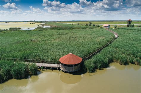 Horgász a Hortobágyi-halastó partján