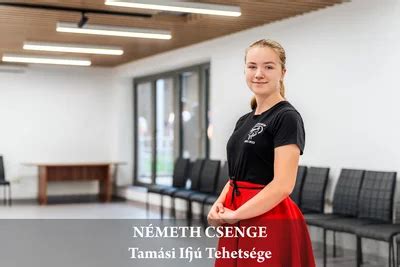 Tamási város látképe