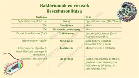 Táblázat: aláfalazás, alábetonozás és micro-cölöpözés összehasonlítása