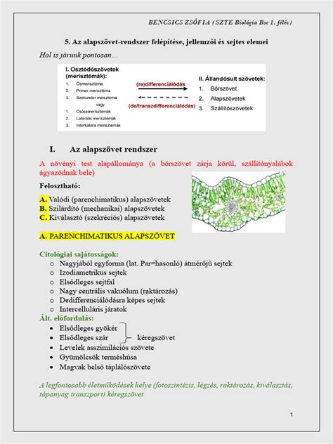 Eurotax rendszer logója és felépítése