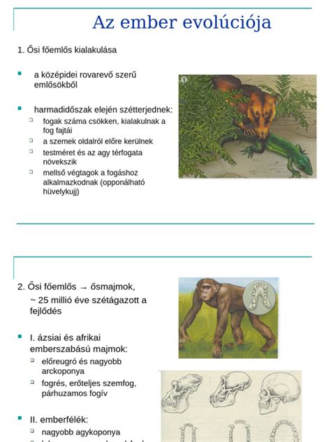 Az építésügyi hatóságok evolúciója