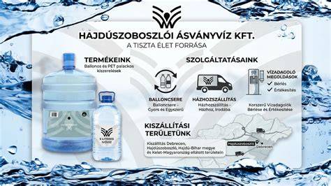 Infografika: PELSŐ-BAU Kft. fő adatai és kapcsolatok