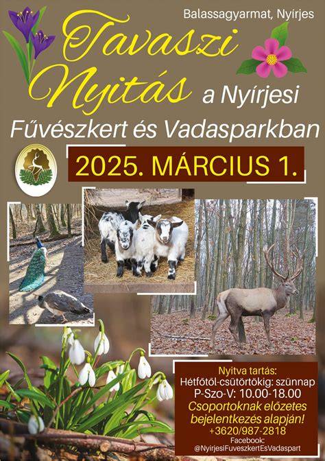 Nyírjesi tájkép: tavak, erdő, és vadaspark