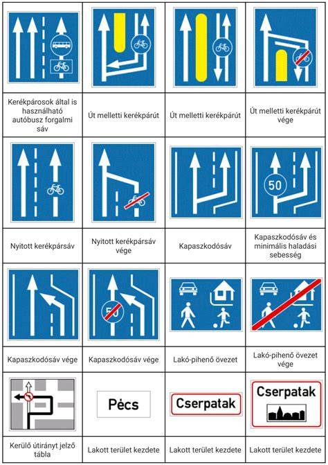 Infografika: Hatósági vizsga rendje és felkészülési idővonal