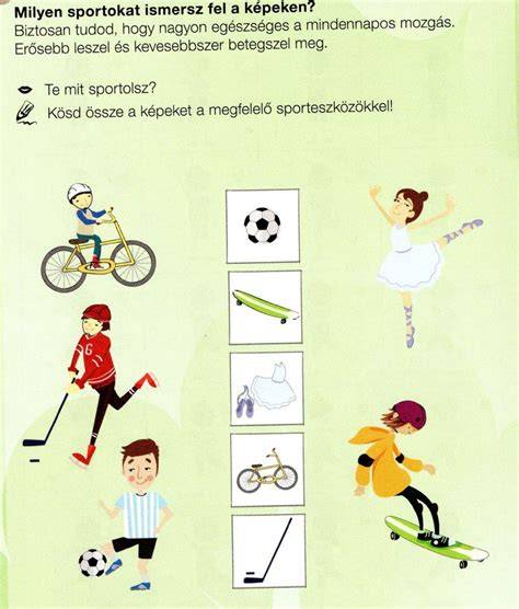 Infografika: A vízi sporteszközök bérlésének jogi és biztonsági keretei
