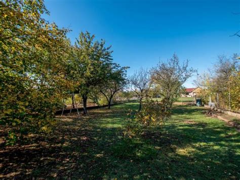 Nagy, gondozott kert