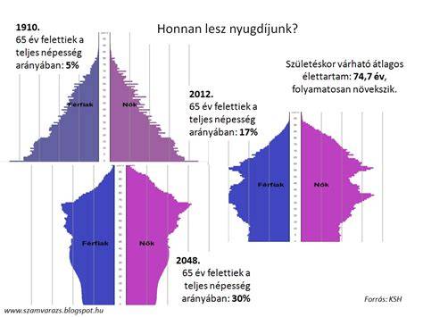 Infografika: Budapesti albérletpiaci szegmensek és korfák 2026-ban