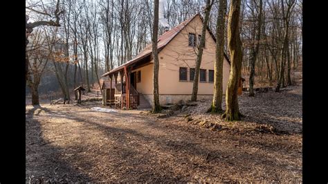 vadászház az erdőben