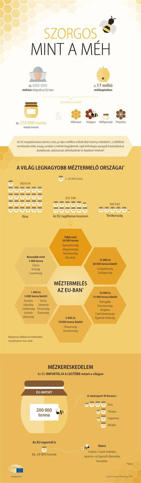 Infografika: A telek méretei és főbb helyiségek elrendezése