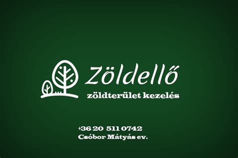 Infografika: Budapesti vállalkozások az Építményüzemeltetés és zöldterület-kezelés területén