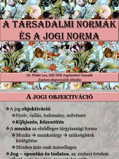 Infografika a történet idővonaláról: Dorr professzor tervei - társadalmi és jogi keretek - lebuktatás