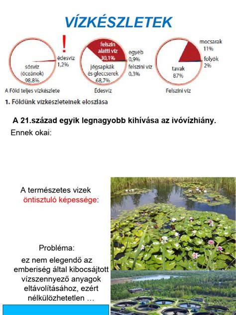 Infografika: Településképi védelem felépítése és felelősségi körök