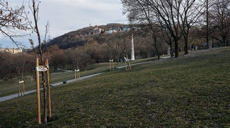 Ingatlanepületek panoráma térkép - Zsolt utca és Naphegy környéke