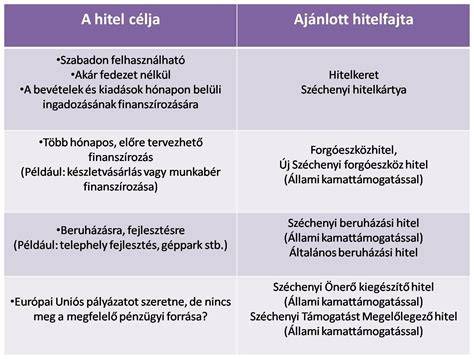 Infografika a vállalkozói hitel típusokról és azok felhasználási területeiről