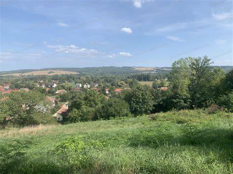 Panorámás vidéki telek és gyümölcsfák ábrázolása