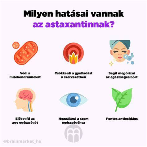 A módosított szerződés és annak hatásai Infografika