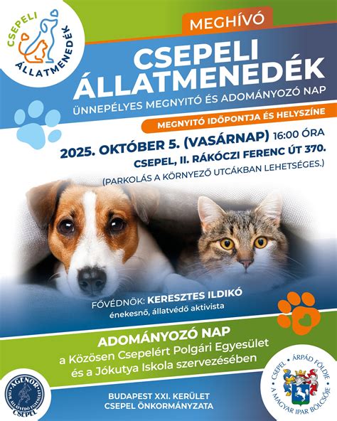 Infografika: Adóztatásrendszer, Csepeli ingatlanadó