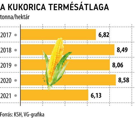 Infografika: Országos kukorica hozam eloszlás és várható termés