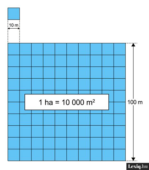 Infografika: 1 hektár = 10 000 m² és a csapadék mérésének összefüggése